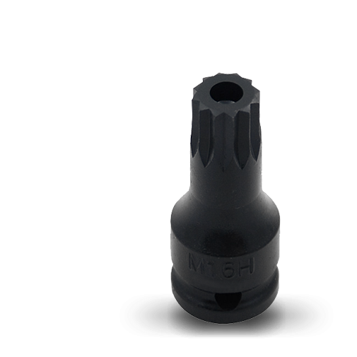 Tamper 12pt Bit Socket